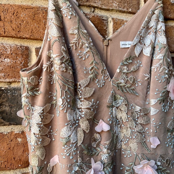 Dress the Population Blush Floral Embroidered Tulle Long Dress - Picture 3 of 16
